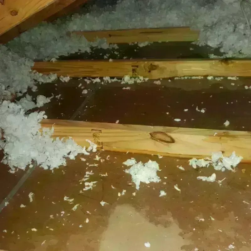 Attic Water Damage in Weaverville, NC